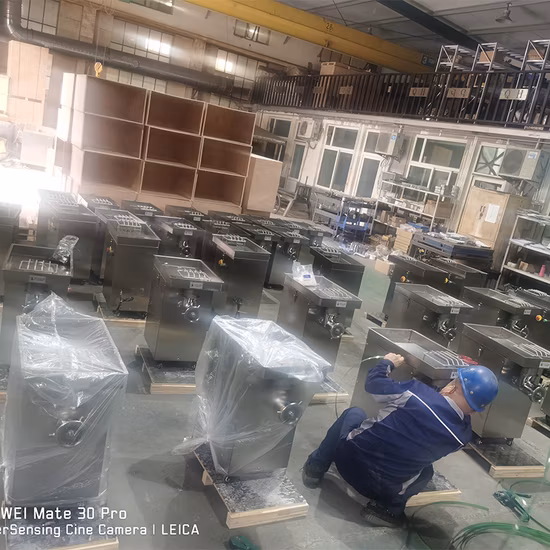 Qh#32 Macchina per la lavorazione della carne elettrica in acciaio inossidabile Tagliatrice per salsicce Affettatrice per ripieno di salsicce Miscelatore per manzo/pollo/verdure Tritacarne Produttore di smerigliatrici